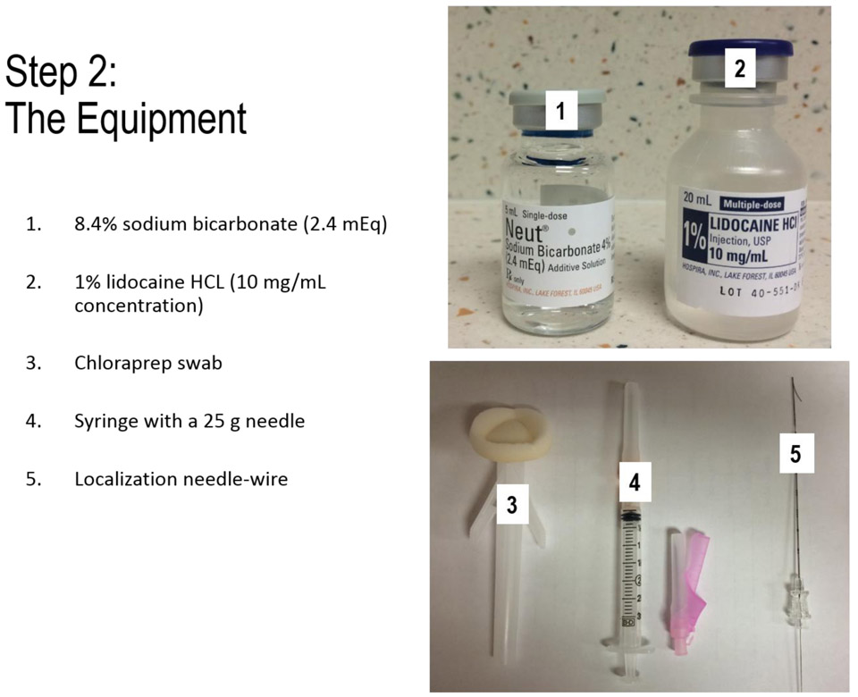 FIGURE 2A.