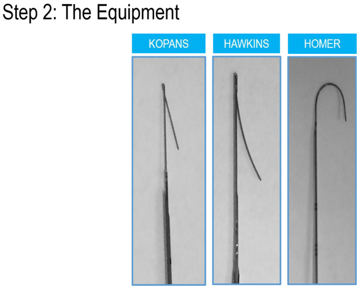 FIGURE 2B.