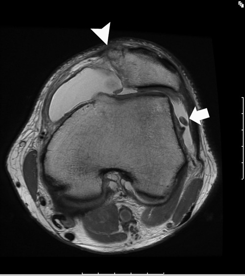 Figure 24.