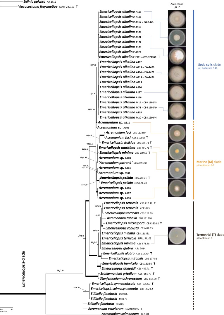 Fig. 2.