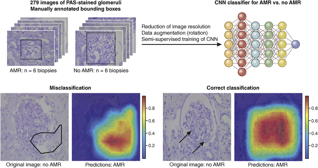 Figure 3 |