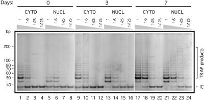 FIG. 3.