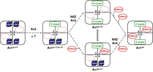 Fig. 6.