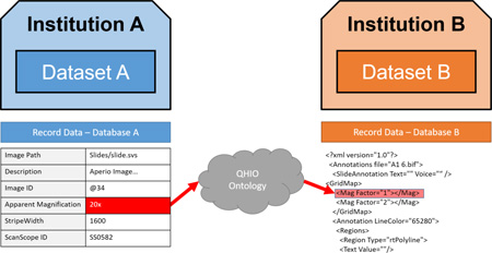 graphic file with name nihms845461f4.jpg