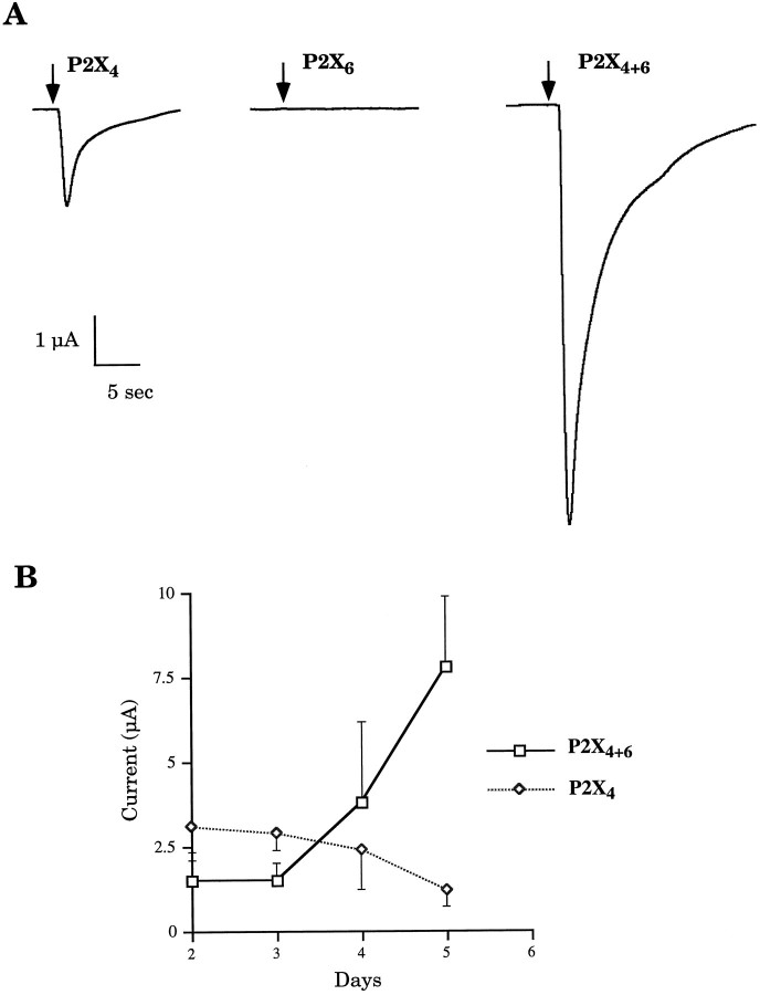 Fig. 2.