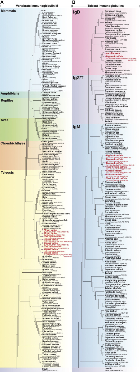 Figure 4