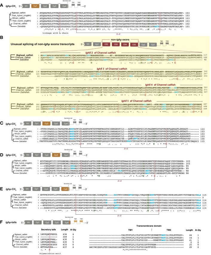 Figure 2