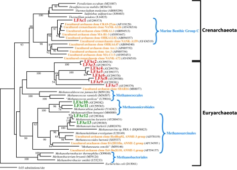 Biodiversity of Methanogenic and Other Archaea in the Permanently ...