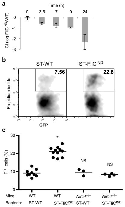 Figure 4