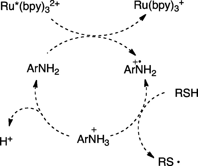 Scheme 5