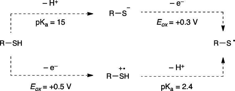 Scheme 4