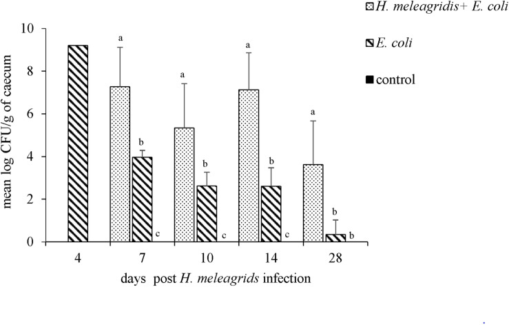 FIGURE 11