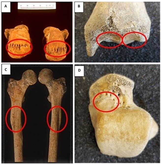 Figure 4.