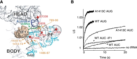 FIGURE 1.