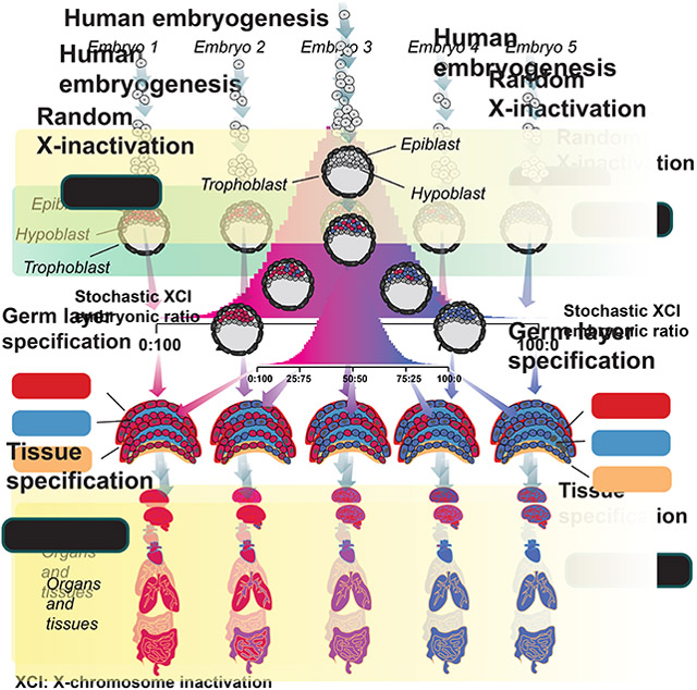 graphic file with name nihms-1828710-f0001.jpg