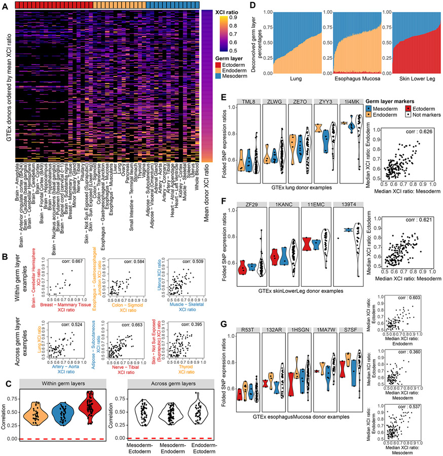 Figure 4: