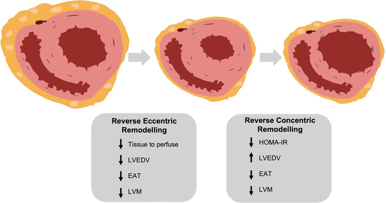 Figure 5