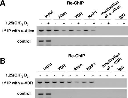 FIG. 6.