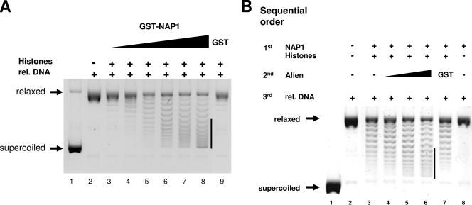 FIG. 4.