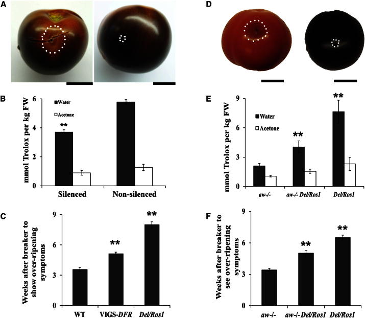 Figure 3