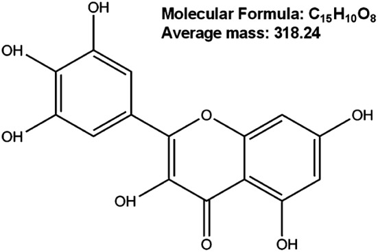 Fig. 1