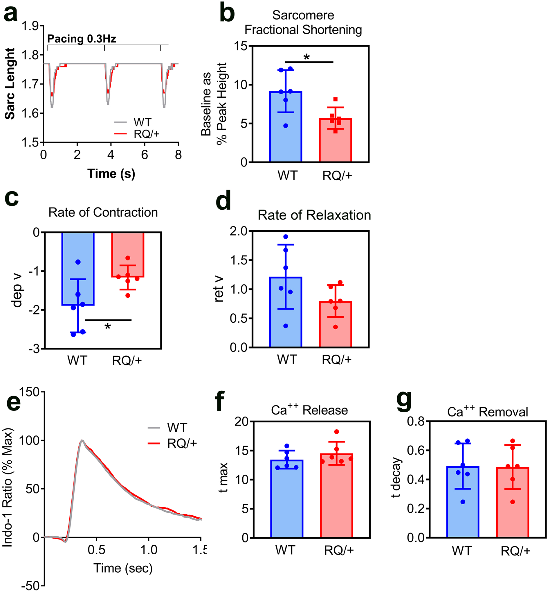 Fig. 2: