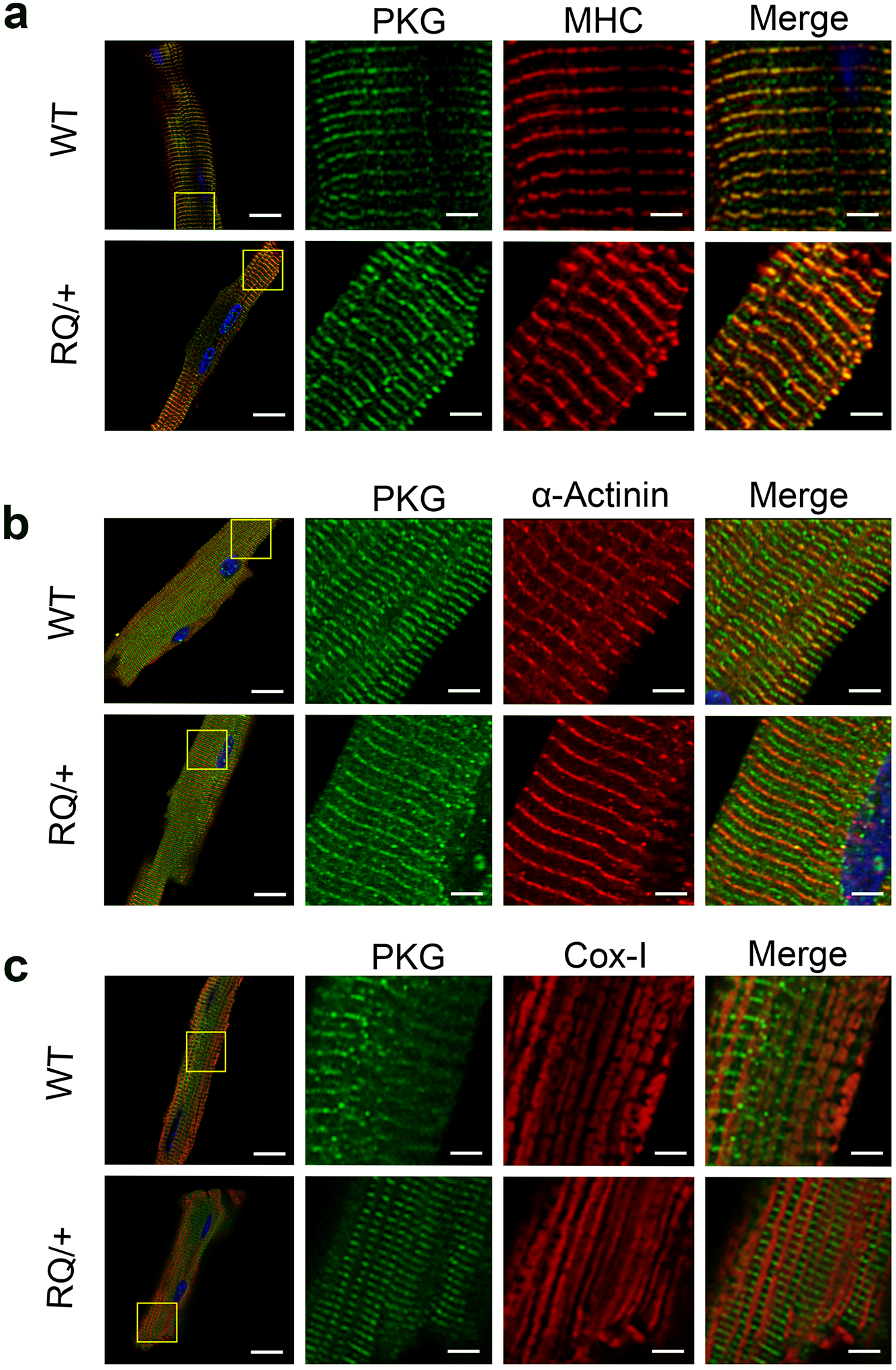 Fig. 3: