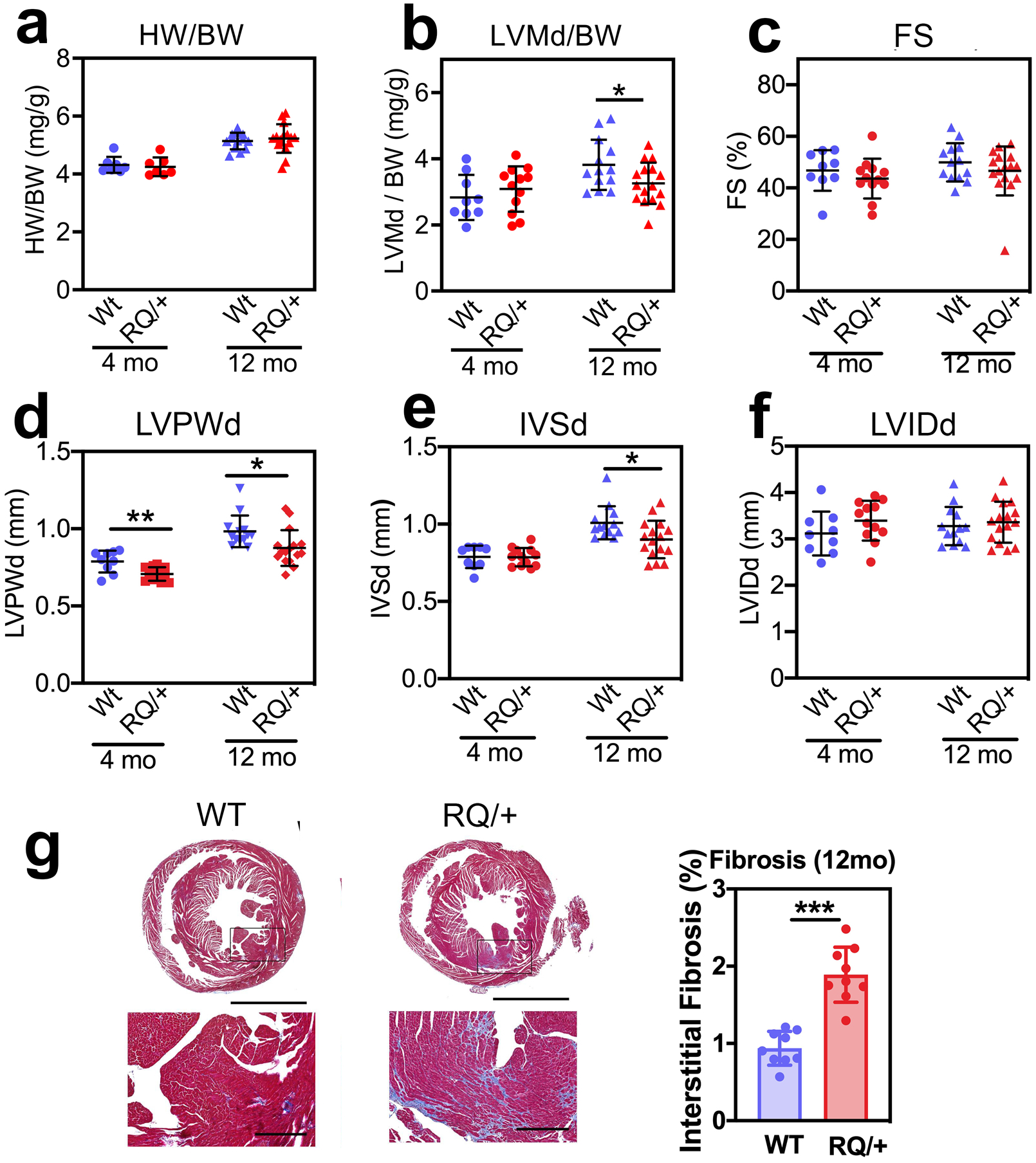 Fig. 4: