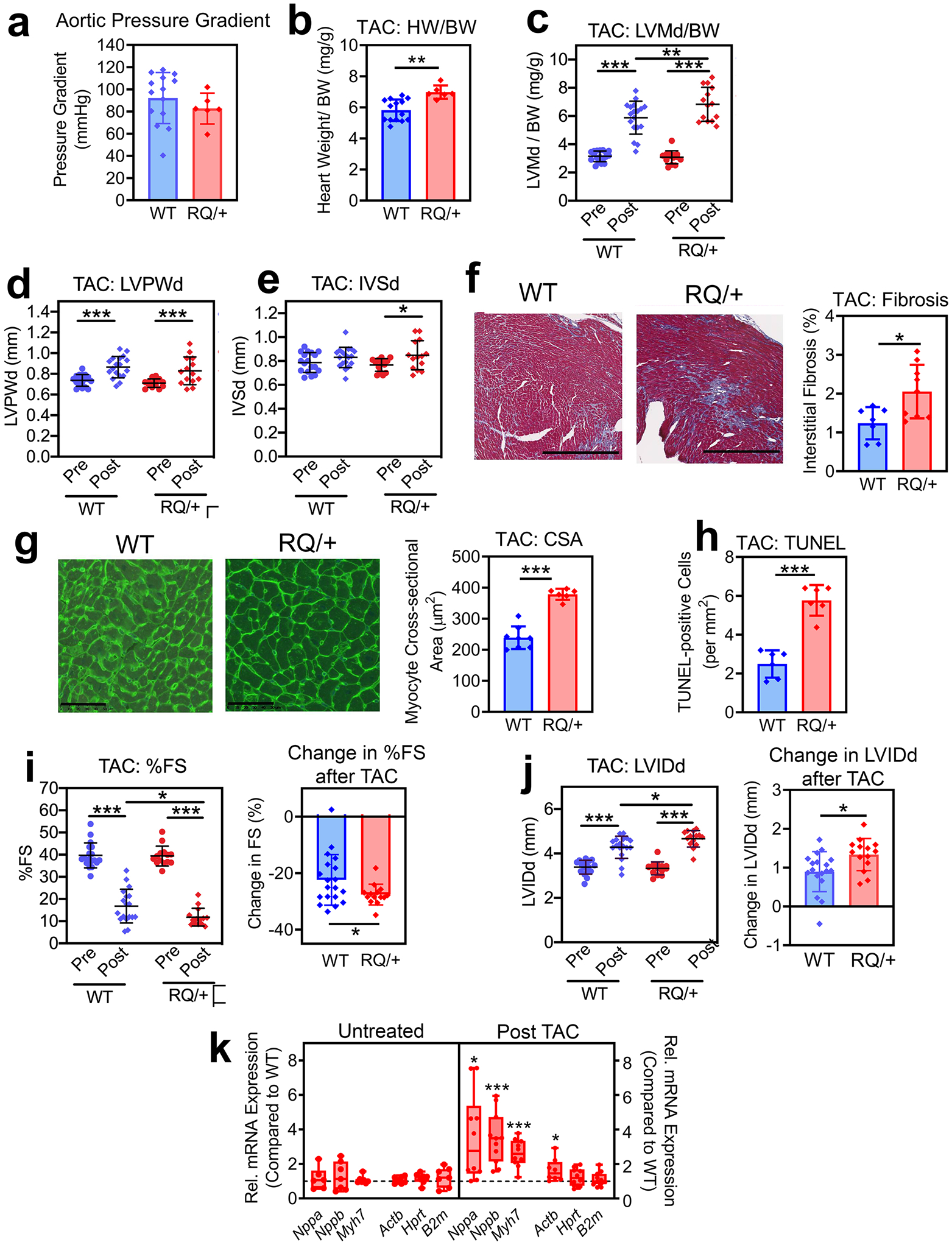 Fig. 6: