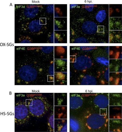 Fig. 10.