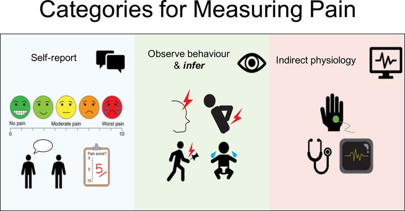 Figure 2a.