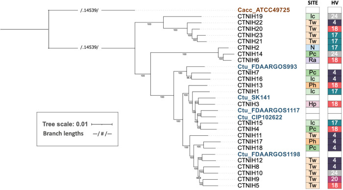 FIG 2