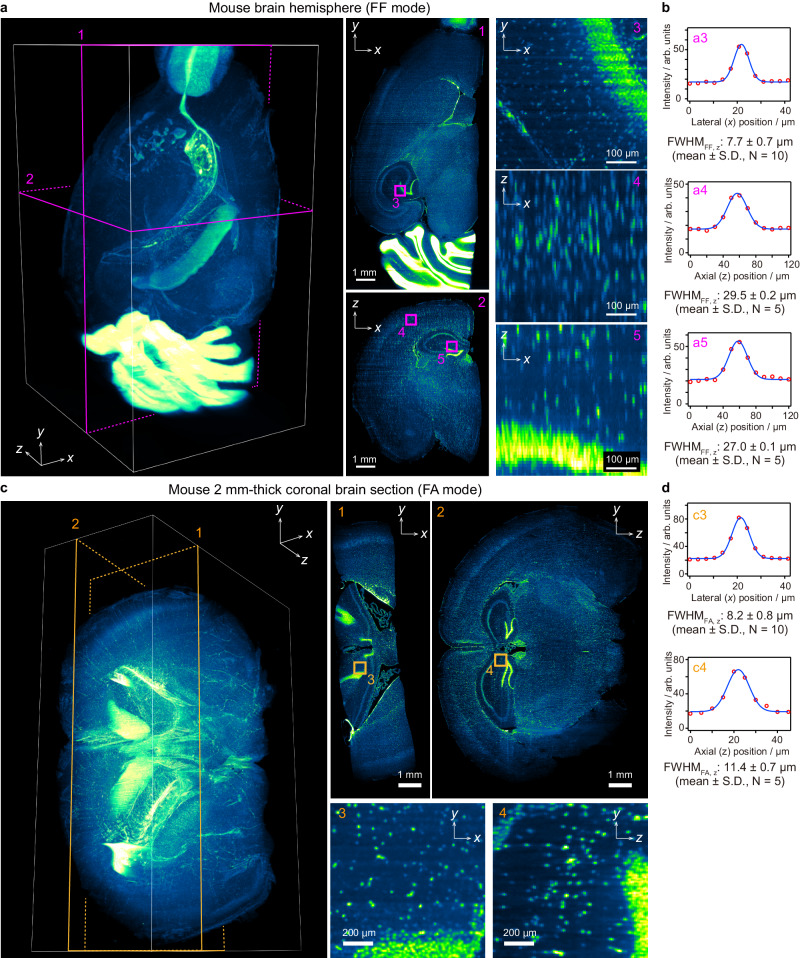 Fig. 2