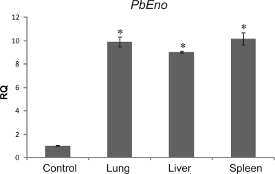 FIG. 6.