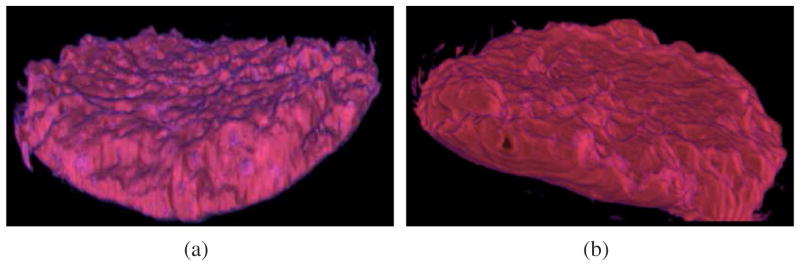 Fig. 15