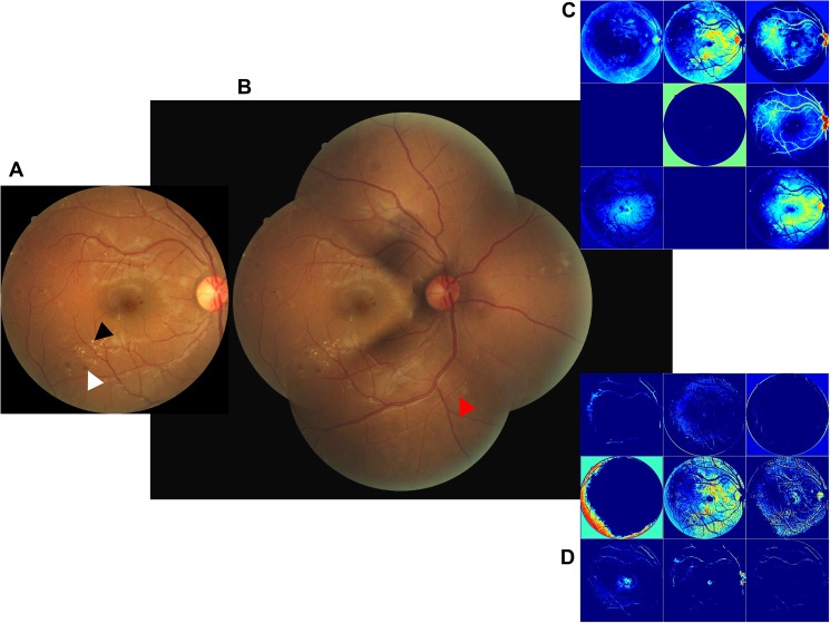 Fig 3