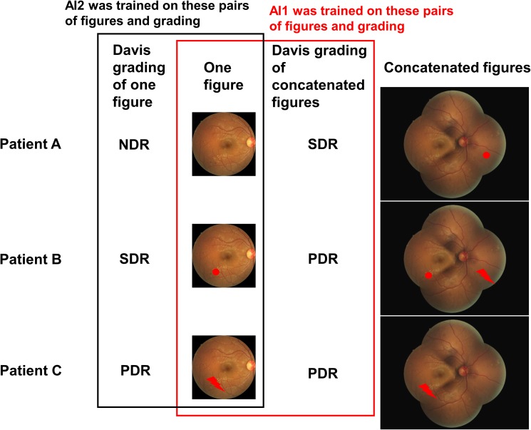 Fig 2