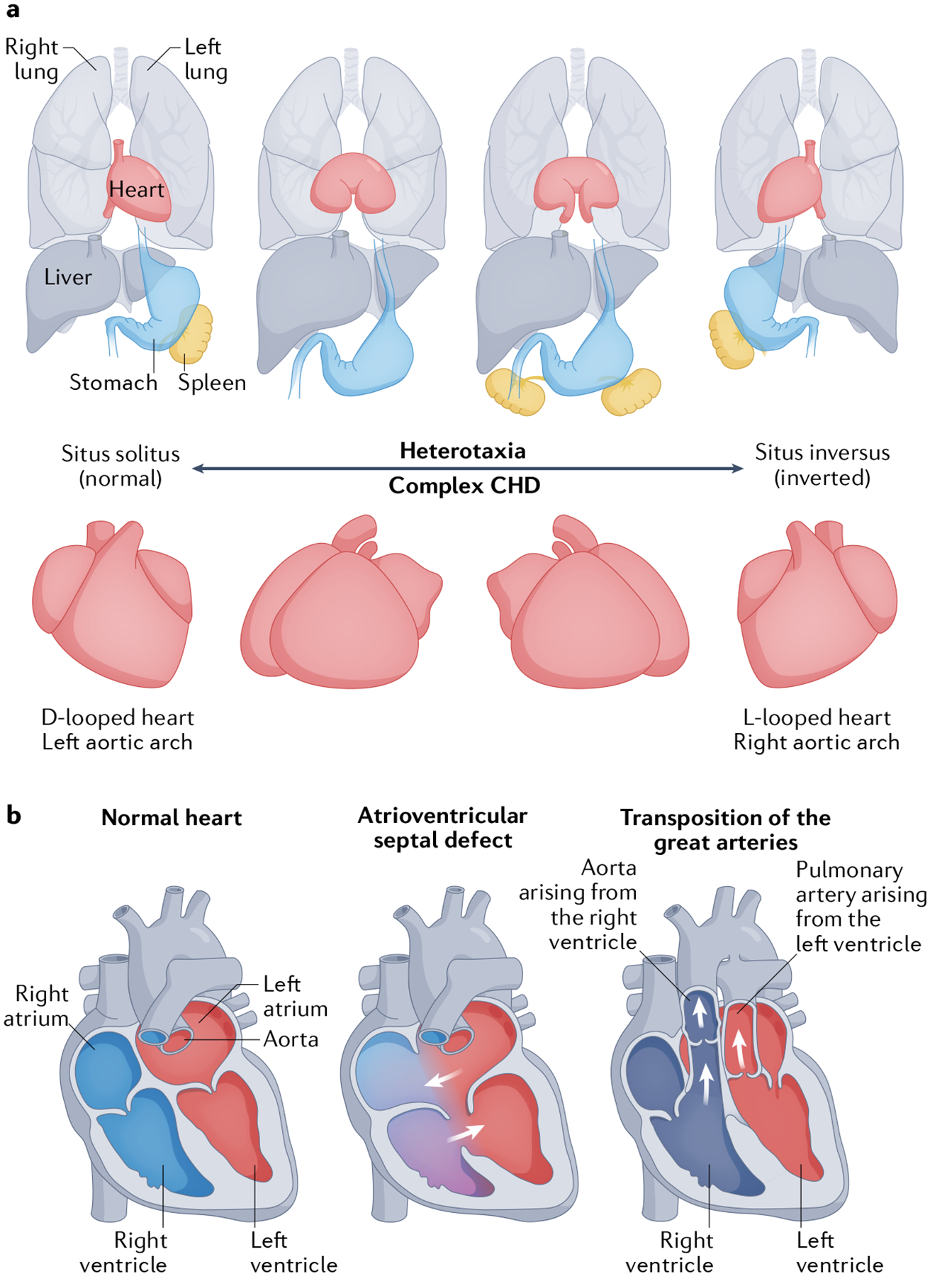 Fig. 4 |