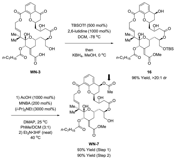 Scheme 6