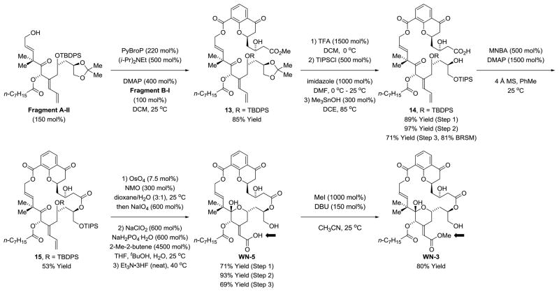 Scheme 5