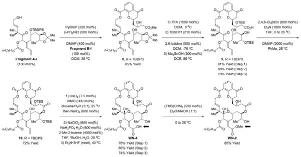 Scheme 3