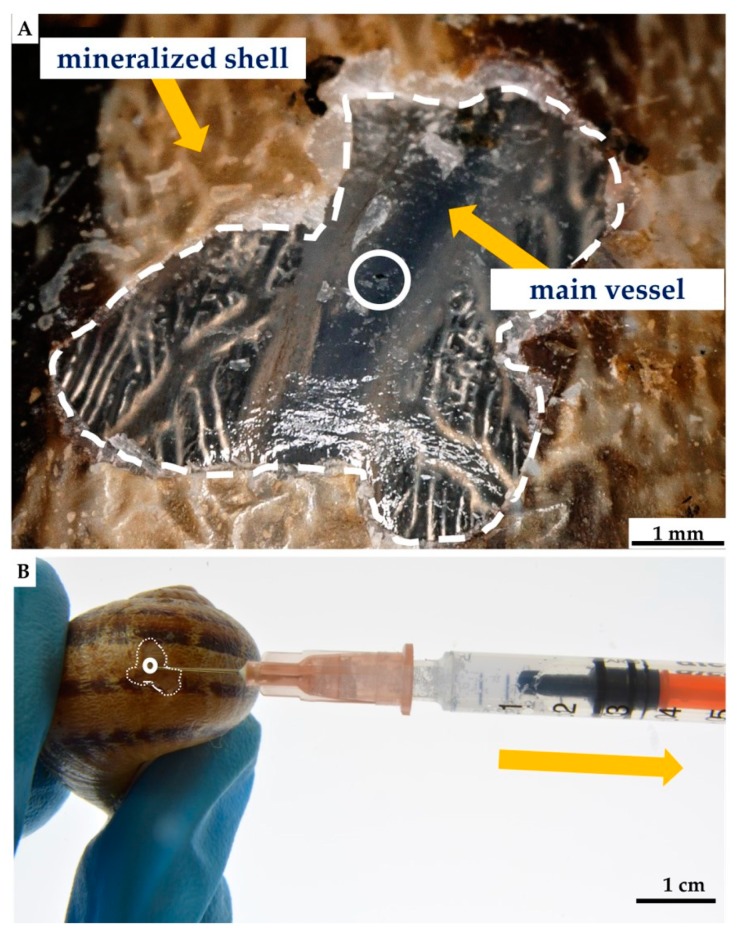 Figure 14