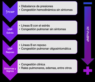 Figura 6