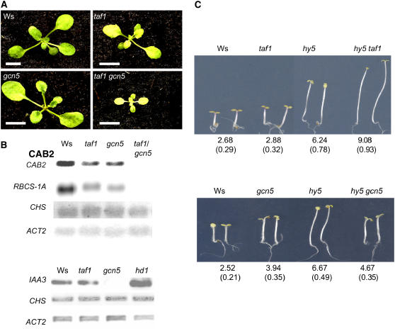 Figure 3.