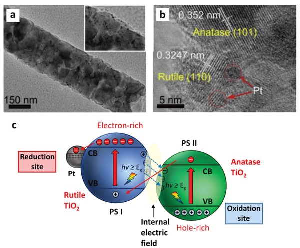 Figure 32