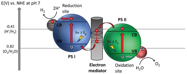 Figure 15