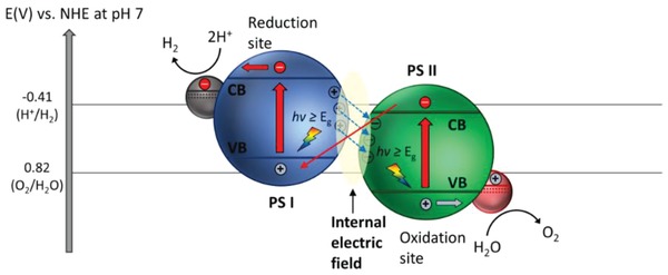 Figure 29