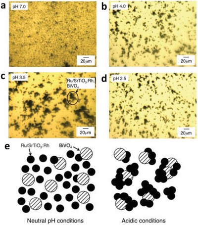 Figure 30