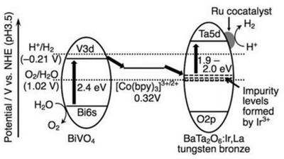 Figure 13