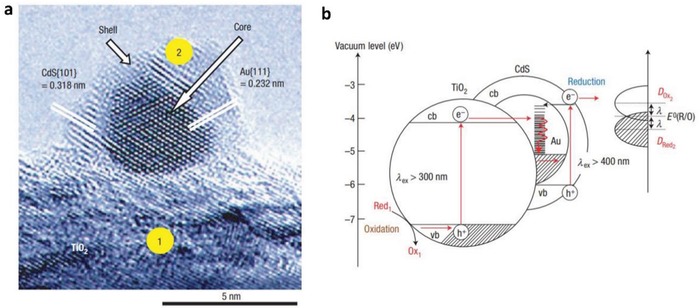 Figure 16